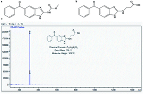 Graphical abstract: Development of an enzyme-linked immunosorbent assay for the detection of mebendazole in chicken and mutton