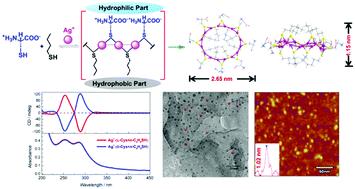 Graphical abstract: Nanosphere [Ag(SR)]n: coordination polymers of Ag+ with a combination of hydrophilic and hydrophobic thiols