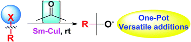 Graphical abstract: Samarium-based Grignard-type addition of organohalides to carbonyl compounds under catalysis of CuI