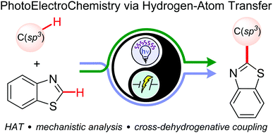 Graphical abstract: Photoelectrochemical cross-dehydrogenative coupling of benzothiazoles with strong aliphatic C–H bonds