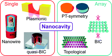 Graphical abstract: Recent advances in nanocavities and their applications