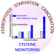 Graphical abstract: Endogenous cysteine fluorescence monitoring and its deployment in tumour demarcation