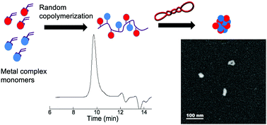 Graphical abstract: Controlled polymerization of metal complex monomers – fabricating random copolymers comprising different metal species and nano-colloids