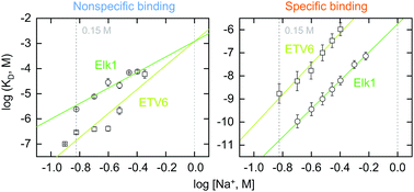 Graphical abstract: Salt bridge dynamics in protein/DNA recognition: a comparative analysis of Elk1 and ETV6
