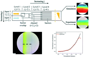 Graphical abstract: Dynamic generation of power function gradient profiles in a universal microfluidic gradient generator by controlling the inlet flow rates