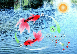 Graphical abstract: Construction of Bi2MoO6/g-C3N4 heterostructures with enhanced visible light photocatalytic performance