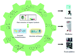 Graphical abstract: Recent advances in the biosynthesis strategies of nitrogen heterocyclic natural products