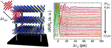 Graphical abstract: Coherent control of interlayer vibrations in Bi2Se3 van der Waals thin-films