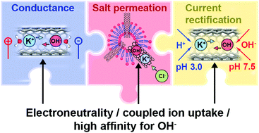 Graphical abstract: Putting together the puzzle of ion transfer in single-digit carbon nanotubes: mean-field meets ab initio