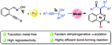 Graphical abstract: A metal-free tandem dehydrogenative α-arylation reaction of propargylic alcohols with 2-alkynylbenzaldoximes toward the synthesis of α-(4-bromo-isoquinolin-1-yl)-propenone skeletons