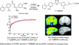 Graphical abstract: Radiosynthesis and evaluation of a fluorine-18 radiotracer [18F]FS1P1 for imaging sphingosine-1-phosphate receptor 1