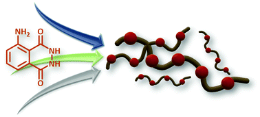 Graphical abstract: Untapped toolbox of luminol based polymers