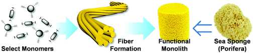 Graphical abstract: Fibrous mesoporous polymer monoliths: macromolecular design and enhanced photocatalytic degradation of aromatic dyes