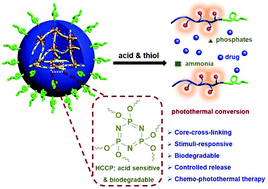 Graphical abstract: Construction of biodegradable core cross-linked nanoparticles from near infrared dyes encoded in polyprodrug amphiphiles and investigation of their synergistic anticancer activity