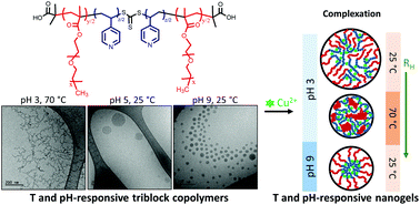 Graphical abstract: Self-assembly of dual-responsive amphiphilic POEGMA-b-P4VP-b-POEGMA triblock copolymers: effect of temperature, pH, and complexation with Cu2+
