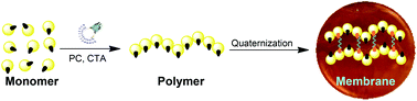 Graphical abstract: A highly stable aliphatic backbone from visible light-induced RAFT polymerization for anion exchange membranes