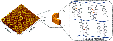 Graphical abstract: Hydrogen-bonding mediated self-assembly of amphiphilic ABA triblock copolymers into well-defined giant vesicles