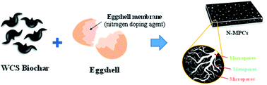 Graphical abstract: Green synthesis of nitrogen-doped multiporous carbons for oxygen reduction reaction using water-caltrop shells and eggshell waste