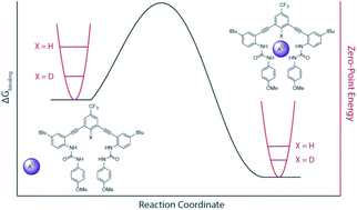 Graphical abstract: Deuterium equilibrium isotope effects in a supramolecular receptor for the hydrochalcogenide and halide anions