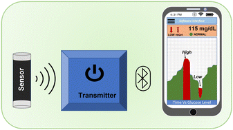 Graphical abstract: Recent advances in optical sensors for continuous glucose monitoring