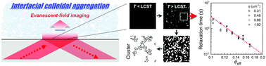 Graphical abstract: A facile evanescent-field imaging approach for monitoring colloidal gel evolution near a surface