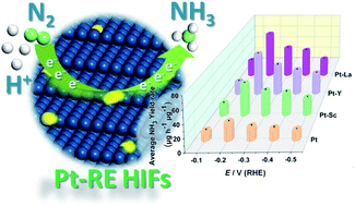 Graphical abstract: Enhancing electrocatalytic nitrogen reduction to ammonia with rare earths (La, Y, and Sc) on high-index faceted platinum alloy concave nanocubes