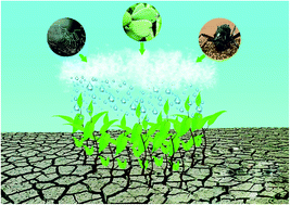 Graphical abstract: The intrigue of directional water collection interface: mechanisms and strategies