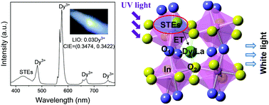 Graphical abstract: Dy3+-doped LaInO3: a host-sensitized white luminescence phosphor with exciton-mediated energy transfer