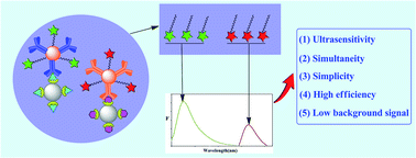 Graphical abstract: Ultrasensitive fluorometric oligonucleotide immunoassay for the simultaneous and efficient detection of two mycotoxins in agricultural products