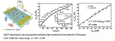 Graphical abstract: Graphene electrochemical transistors decorated by Ag nanoparticles exhibiting high sensitivity for the detection of paraquat over a wide concentration range