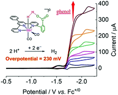 Graphical abstract: The hangman effect boosts hydrogen production by a manganese terpyridine complex