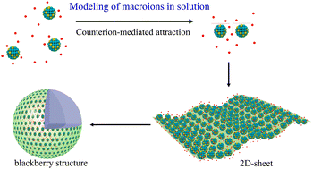 Graphical abstract: Recent advancements in understanding the self-assembly of macroions in solution via molecular modeling