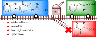Graphical abstract: Regioselective O-alkylation of 2-pyridones by TfOH-catalyzed carbenoid insertion