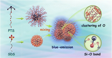 Graphical abstract: Clustering-enhanced, nonconventional photoluminescence from a silicone surfactant