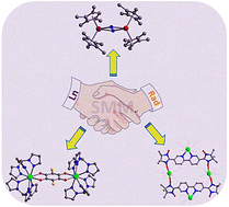Graphical abstract: Lanthanide–radical single-molecule magnets: current status and future challenges