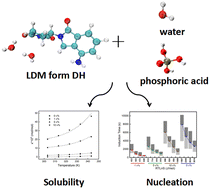 Graphical abstract: The role of phosphoric acid in the crystallization of lenalidomide form DH–water system