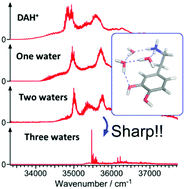 Graphical abstract: Excited state dynamics of protonated dopamine: hydration and conformation effects