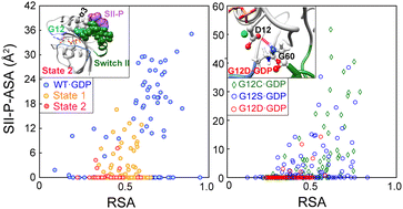 Graphical abstract: Exploring the state- and allele-specific conformational landscapes of Ras: understanding their respective druggabilities