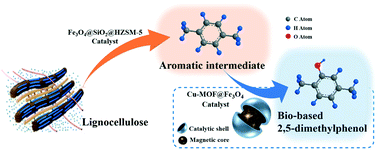 Graphical abstract: High value utilization of biomass: selective catalytic transformation of lignocellulose into bio-based 2,5-dimethylphenol