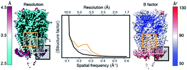 Graphical abstract: Electron scattering properties of biological macromolecules and their use for cryo-EM map sharpening