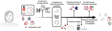 Graphical abstract: Fruit juices as a carrier of probiotics to modulate gut phenolics and microbiota
