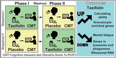 Graphical abstract: Ingestion of taxifolin-rich foods affects brain activity, mental fatigue, and the whole blood transcriptome in healthy young adults: a randomized, double-blind, placebo-controlled, crossover study