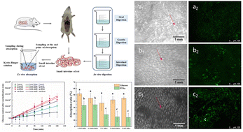 Graphical abstract: Intestinal absorption of DHA microcapsules with different formulations based on ex vivo rat intestine and in vitro dialysis models