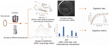 Graphical abstract: Effects of storage temperatures on the starch digestibility of whole rice with distinct starch fine molecular structure