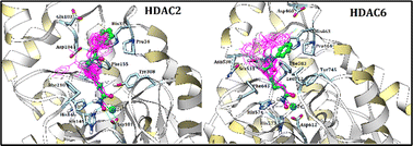 Graphical abstract: Novel (E)-3-(1-substituted-1H-indazol-5-yl)-N-hydroxypropenamides as histone deacetylase inhibitors: design, synthesis and structure–activity relationships