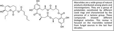 Graphical abstract: Fungal bioactive macrolides