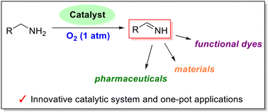 Graphical abstract: Innovative green oxidation of amines to imines under atmospheric oxygen