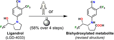 Graphical abstract: Structure revision and chemical synthesis of ligandrol's main bishydroxylated long-term metabolic marker