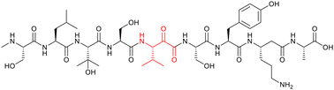 Graphical abstract: Total synthesis of Myxoprincomide, a secondary metabolite from Myxococcus xanthus