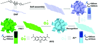 Graphical abstract: A novel fluorescent self-assembling material with gel properties: ion recognition and energy transfer